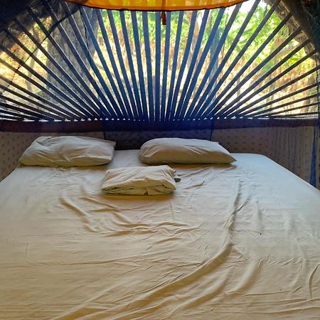 El Zopilote Hostel Balgue Екстериор снимка