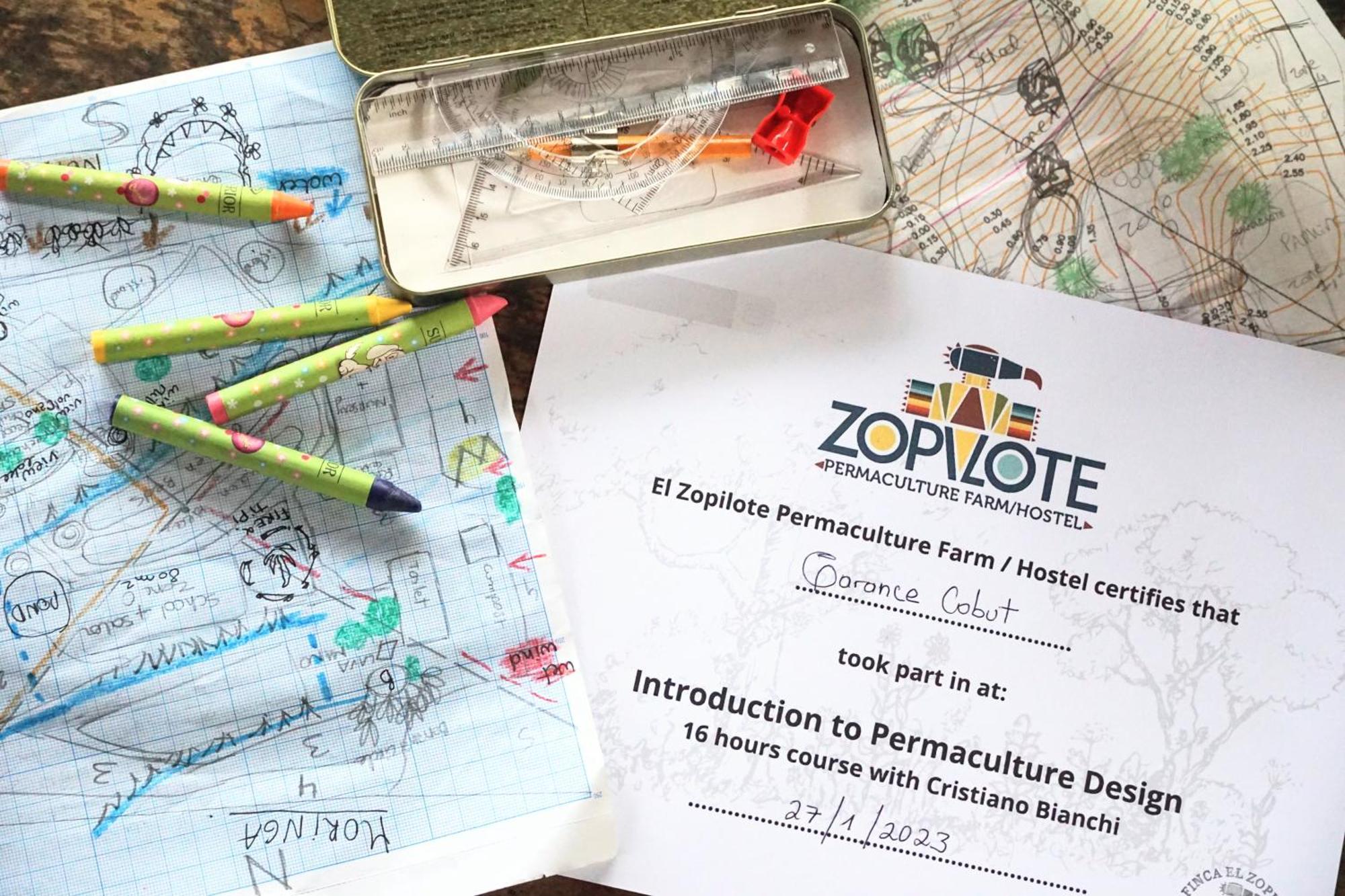 El Zopilote Hostel Balgue Екстериор снимка