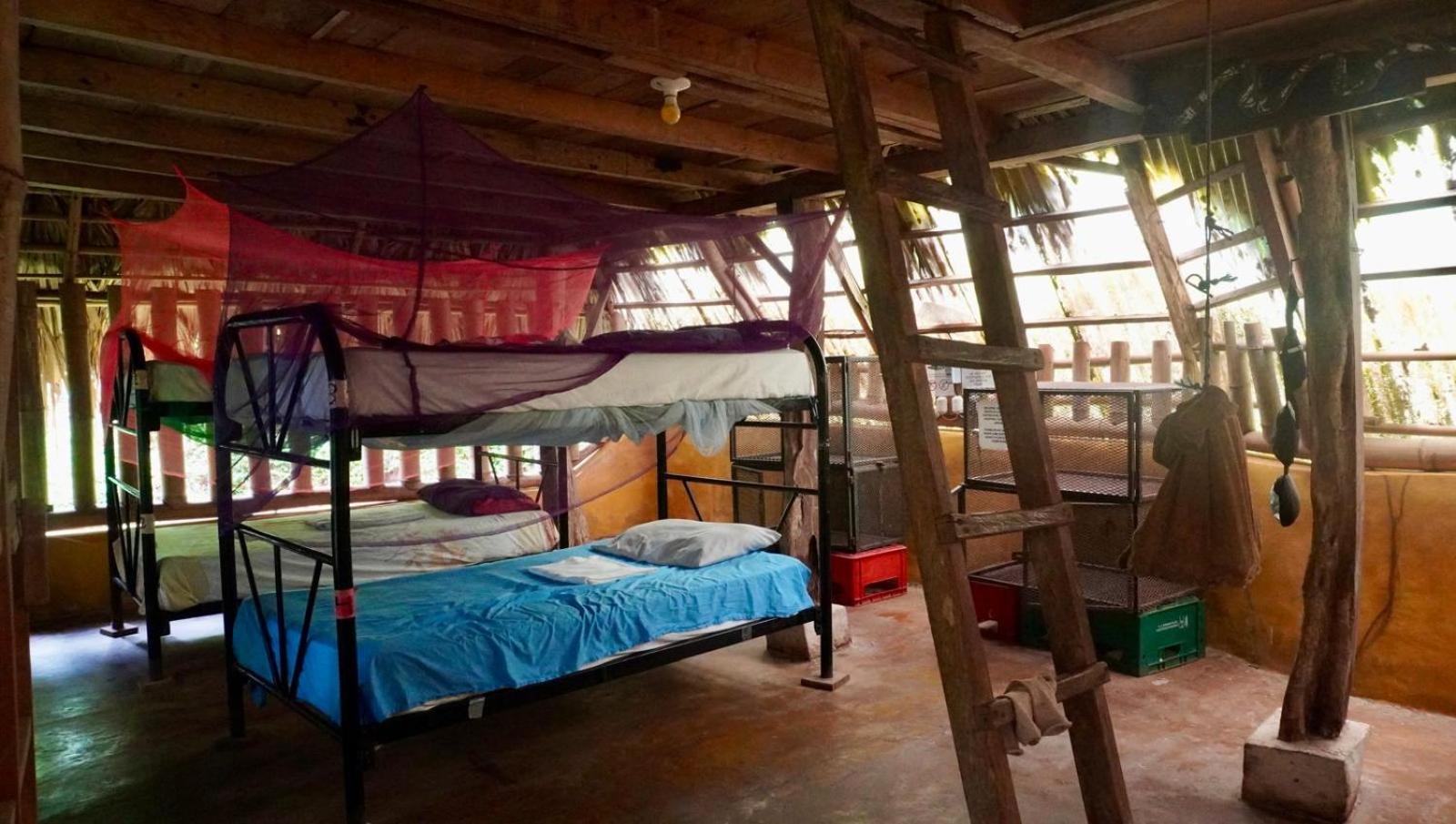 El Zopilote Hostel Balgue Стая снимка